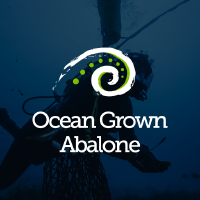 Logo of Ocean Grown Abalone (OGA).