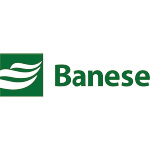 Logo of BANESE PN (BGIP4).