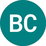 Logo of  (BHCG).