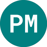 Logo of Panther Metals (PALM).