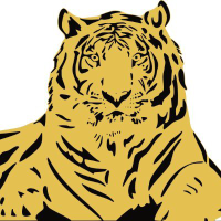 Logo of Panthera Resources (PAT).