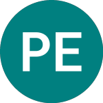 Logo of Petrolatina Energy (PELE).