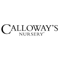 Logo of Calloways Nursery (CE) (CLWY).