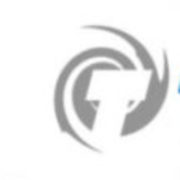 Turbo Global Partners Inc (CE)