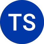 Logo of Telecom Sao Paulo (TSP).