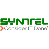 Logo of  (SYNT).