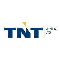 Logo of TNT Mines (TIN).
