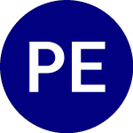 Logo of  (PET-B.CL).