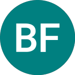 Logo of Bright Futures (BRF).
