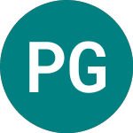 Logo of Peninsular Gold (PGL).
