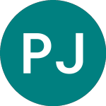 Logo of  (PJIA).