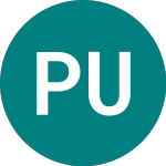 Logo of Premier Uk Dual Return Trust (PUKI).