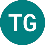 Logo of Tcepetf G Eur (TCED).