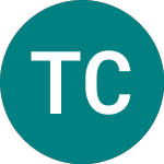 Logo of Telit Communications (TCM).
