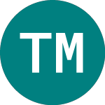 Logo of Taylor Maritime Investme... (TMIP).