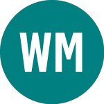 Logo of Wolfson Microelectronics (WLF).