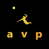 AVP Inc (CE)