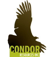 Logo of Condor Res (PK) (CNRIF).