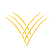 Logo of Golden Valley Bancshares (PK) (GVYB).