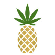 Logo of Pineapple (PK) (PNPL).
