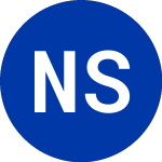 Logo of New Skies Sat (NSE).