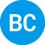 Logo of Blockchain Coinvestors A... (BCSAU).