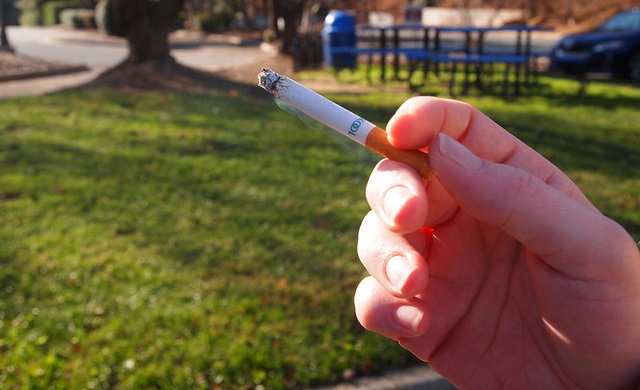 © Image copyright 42787780@N04