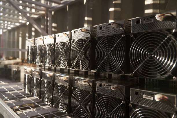 Bitcoin ASIC miners in warehouse. ASIC mining equipment on stand racks for mining cryptocurrency in steel container. Blockchain techology application specific integrated circuit storage.