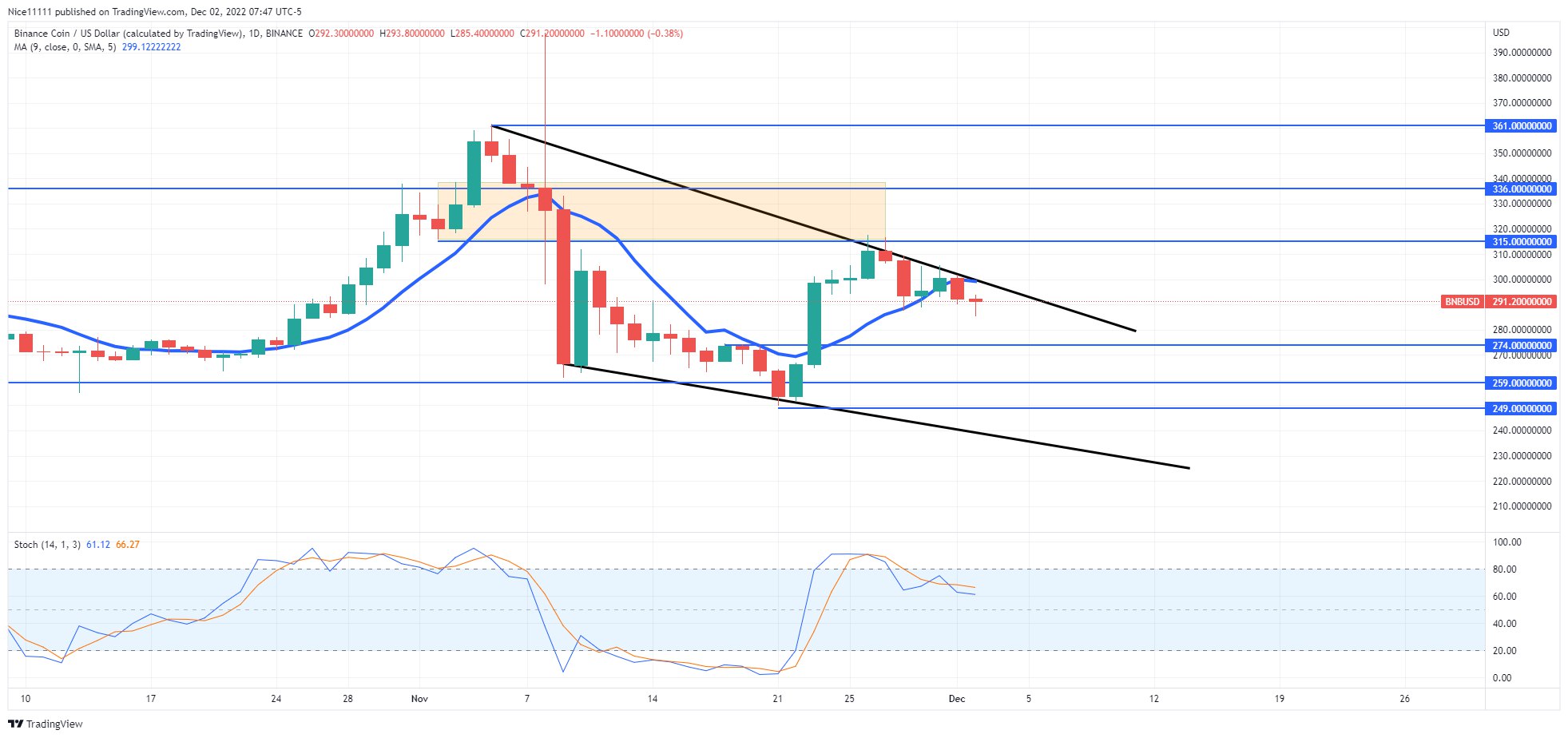 BNBUSD faces resistance at $315.0